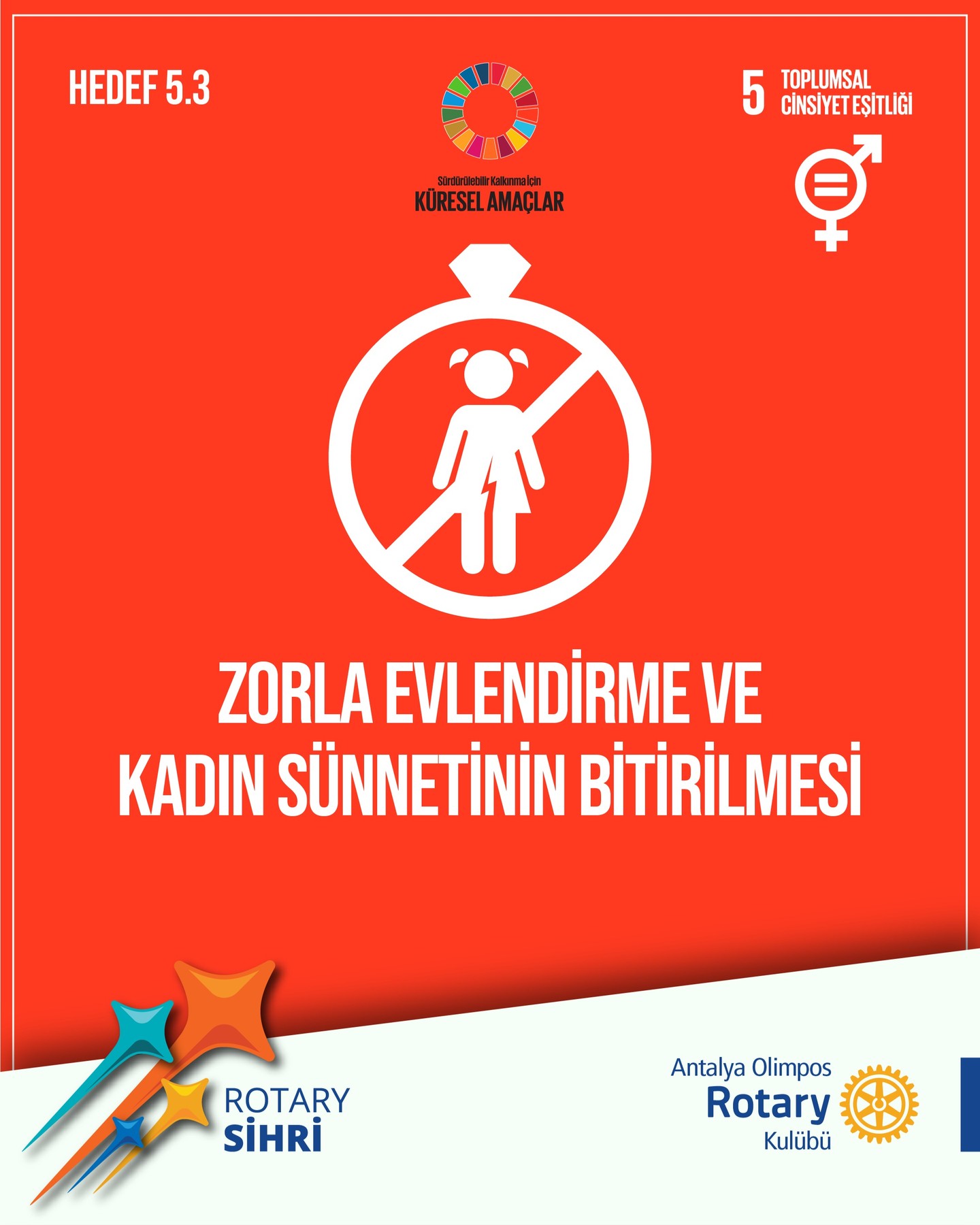 Toplumsal Cinsiyet Eşitliği