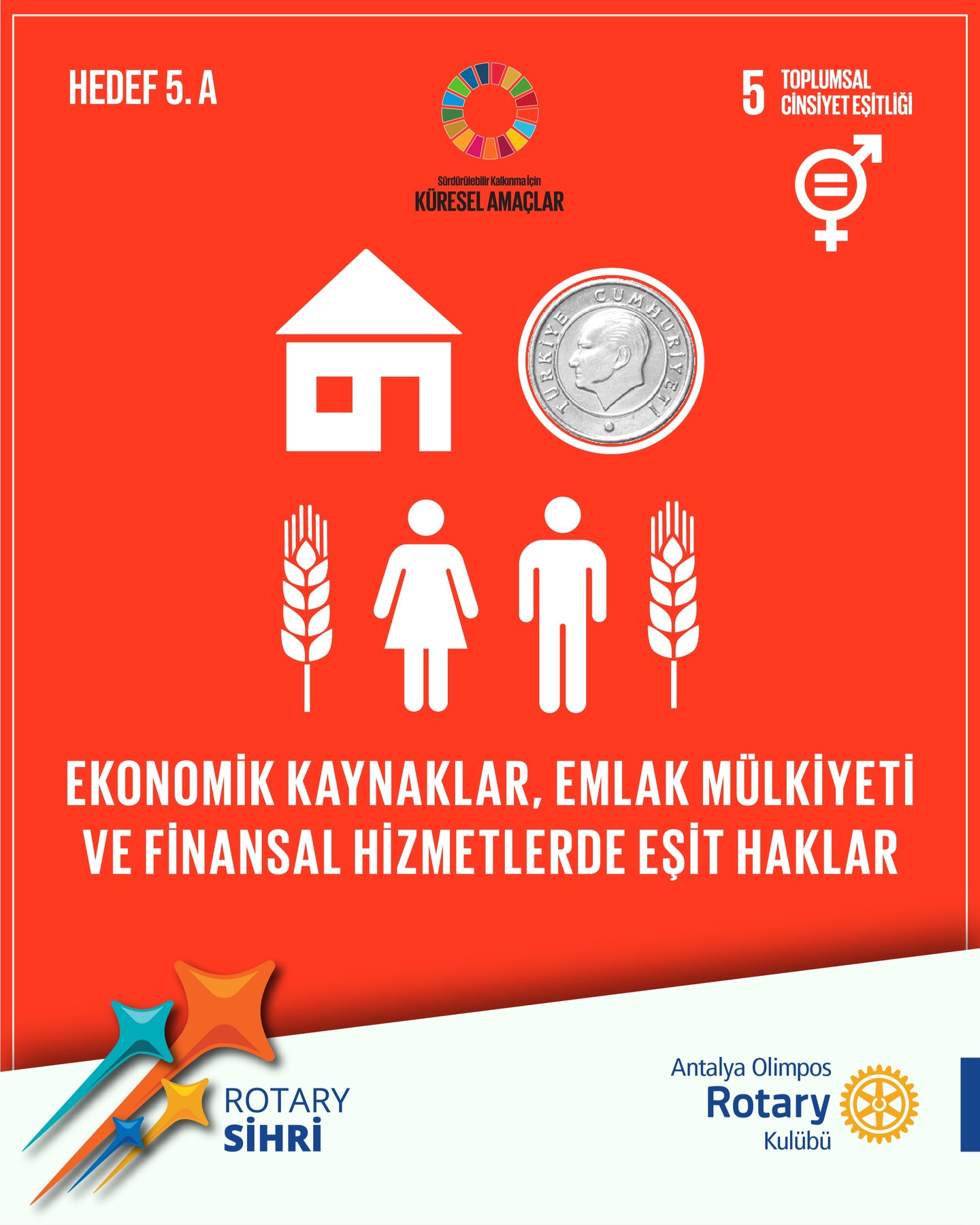 Toplumsal Cinsiyet Eşitliği