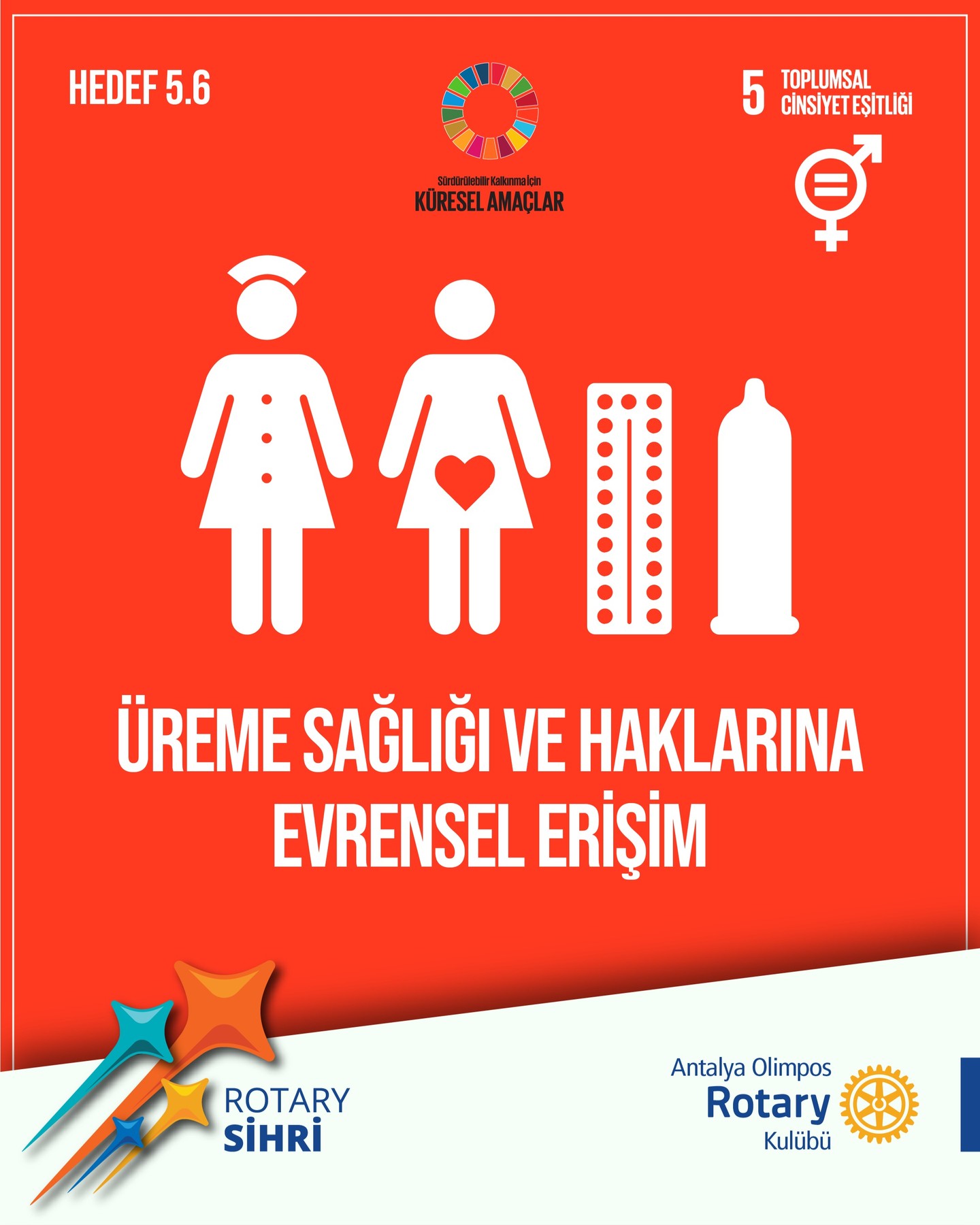 Toplumsal Cinsiyet Eşitliği