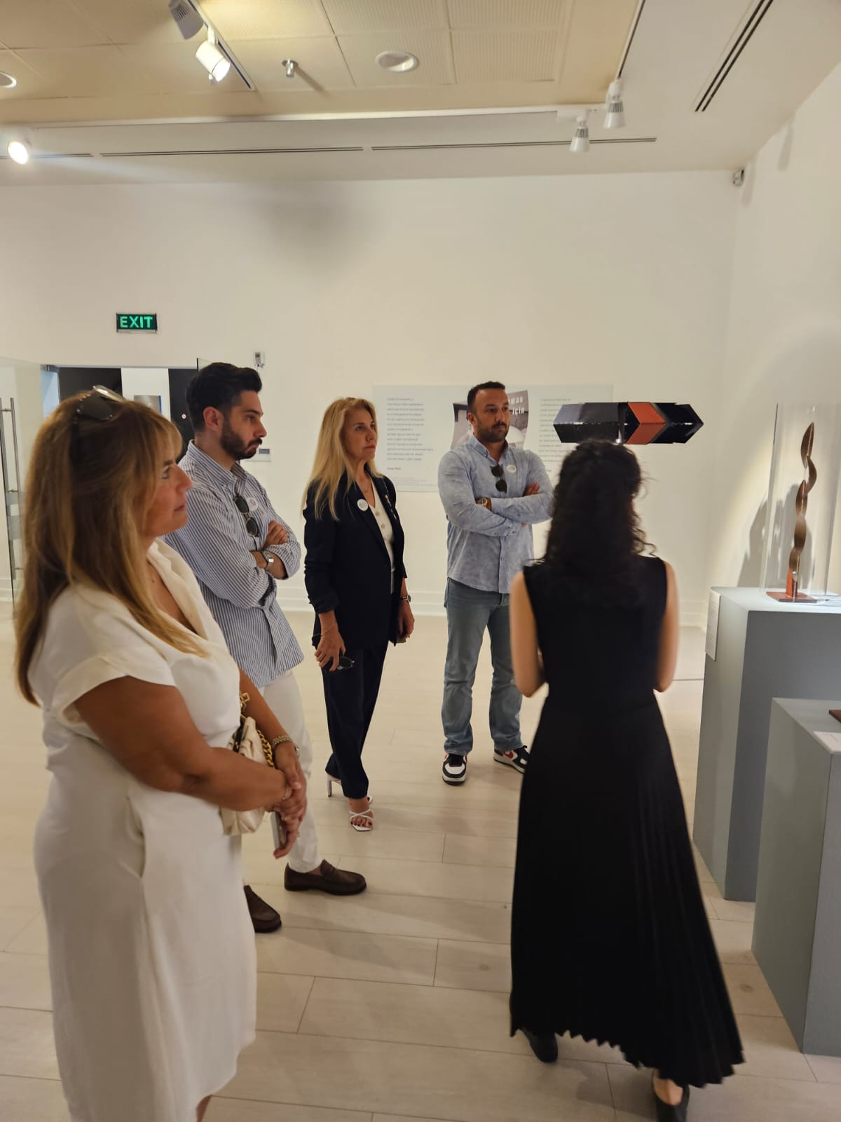 Sanat Komitesi: AKS İlhan Koman Sergisi