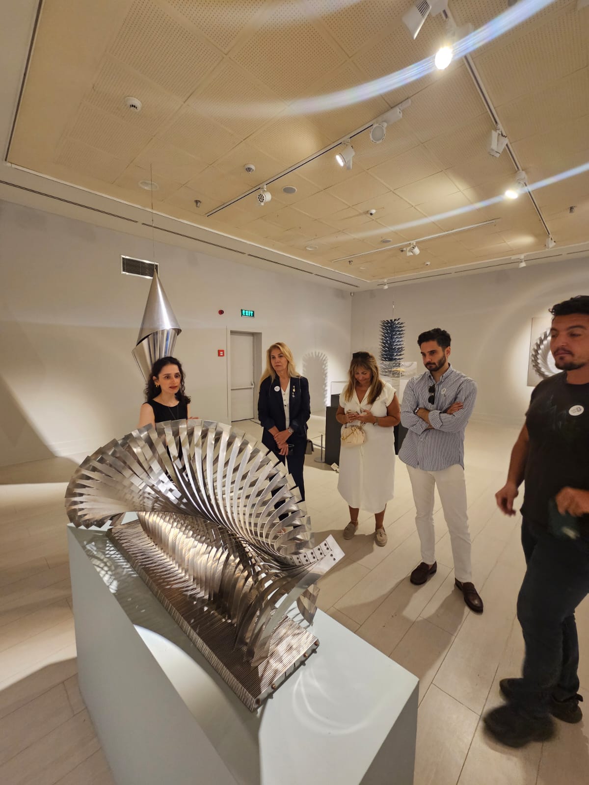 Sanat Komitesi: AKS İlhan Koman Sergisi